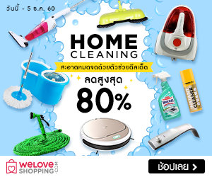 WeLoveShopping- Home Cleaning 80% OFF