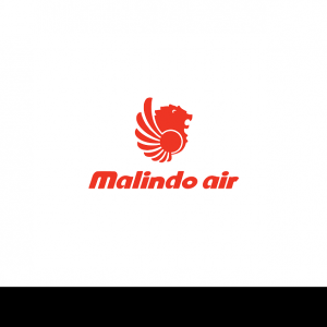 PAUSED – MALINDO AIR OFFER